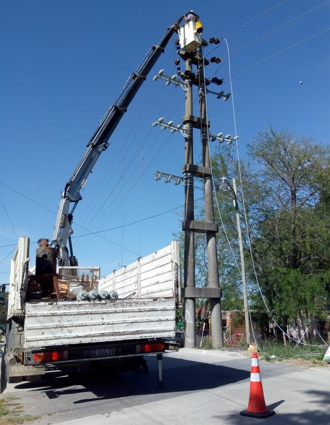 Trabajo con barquilla, podas en altura